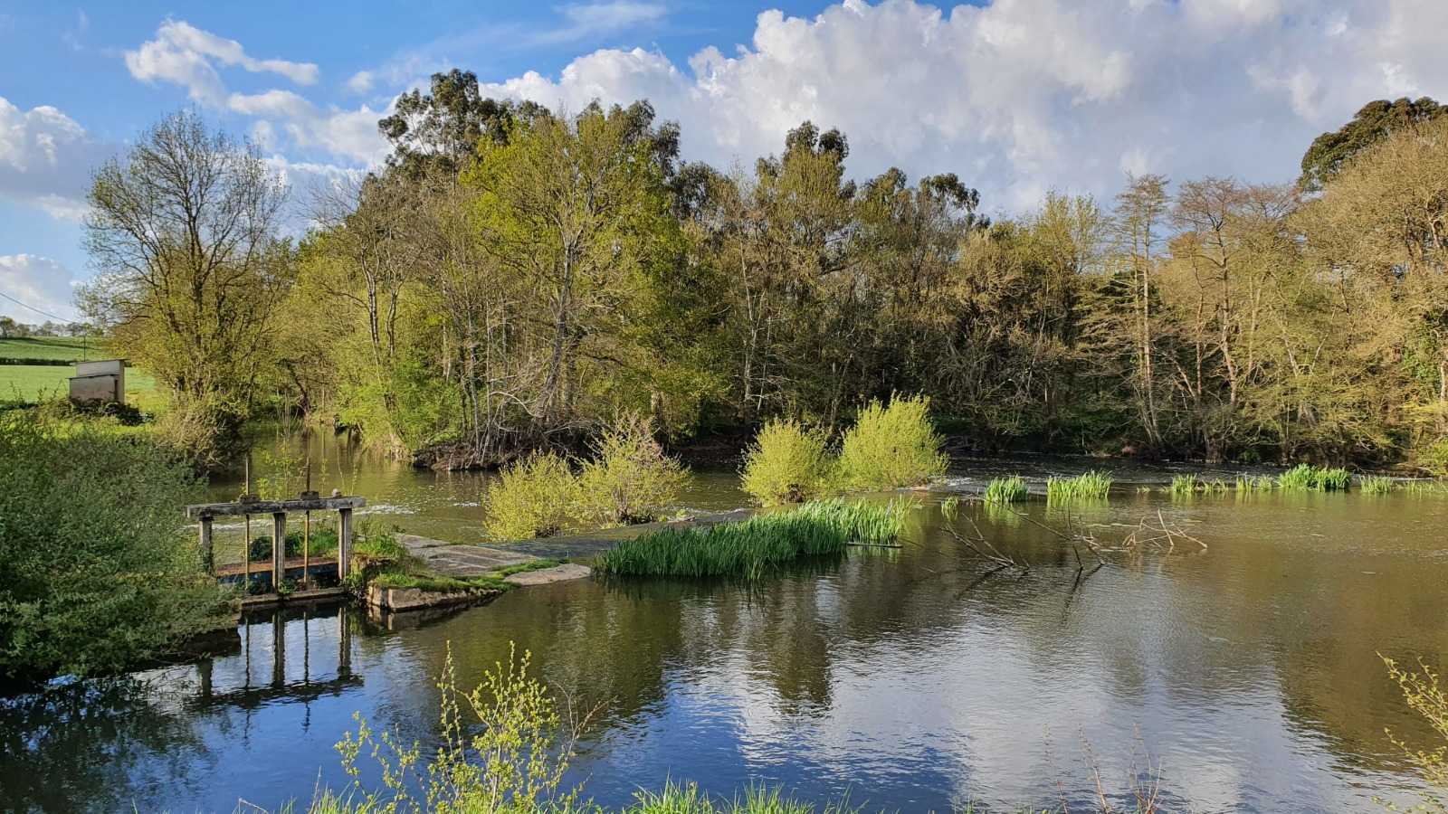 La rivière du Lay et sa végétation luxuriante dans le bocage vendéen
