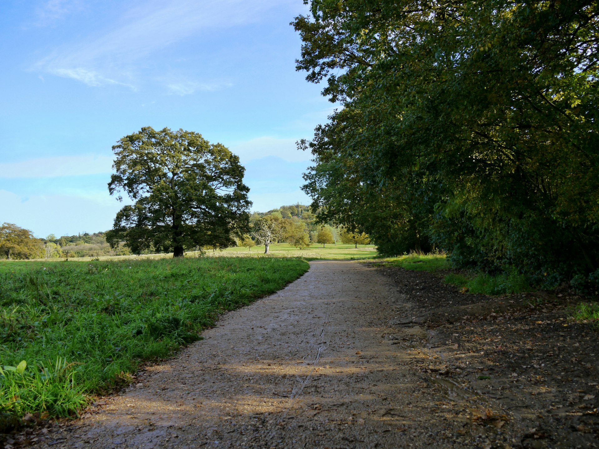 Chemin de gravier à travers un champ herbeux